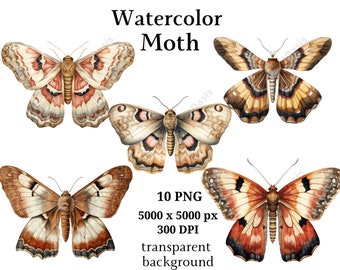 Moth Clipart, 10 High Quality PNGs, Nursery Art | Card Making, Clip Art, Digital Paper Craft, Moth Watercolour | #963