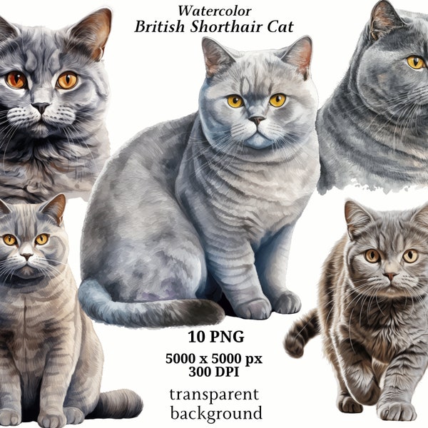 British Shorthair Cats Clipart, 10 High Quality PNGs, Digital Download | Card Making, Cute Cat Clipart, Digital Paper Craft | #1379