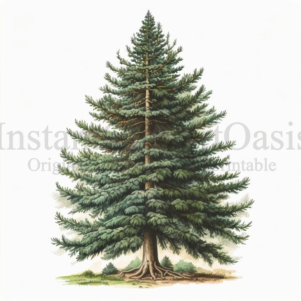 Fir Trees Clipart, 10 High Quality JPGs, Botanical Art, Digital Download, Card Making, Journaling, Digital Paper Craft | #298