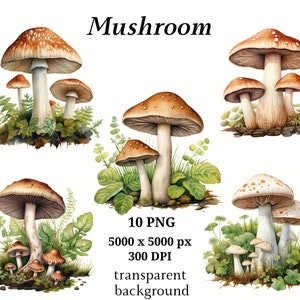 Mushrooms, 10 High Quality PNGs, Nursery Art, Instant Digital Download | Card Making, Mushroom Clipart, Digital Paper Craft | #1199