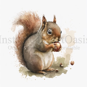 Clipart écureuil, 10 JPG de haute qualité, téléchargement numérique, fabrication de cartes, Clipart animaux, artisanat en papier numérique | #354