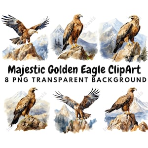Majestätische Golden Eagle Clipart, 8 hochwertige PNGs, Adler Clipart, Aquarell, Kartenherstellung, Journaling, digitaler Download | #889