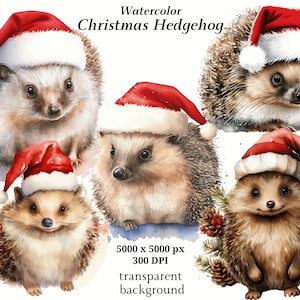 Clipart de ouriços de Natal, 10 PNGs de alta qualidade, clipart de Natal, criação de cartões, registro no diário, download digital, livros de memória | #1318