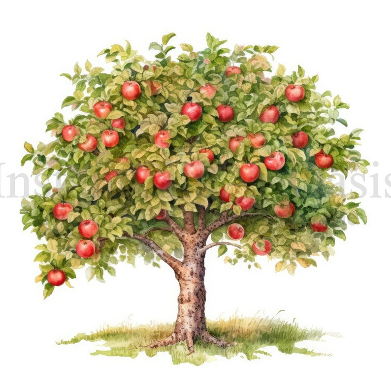 Apple Trees Clipart, 10 High Quality Jpgs, Botanical Art, Digital ...