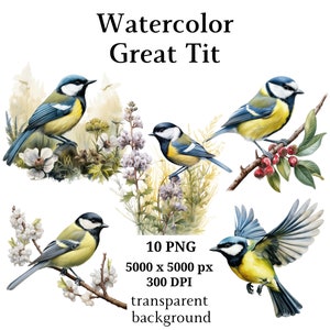 Mésange charbonnière Clipart, 10 PNG de haute qualité, pépinière Art, téléchargement numérique | Fabrication de cartes, Clipart d'oiseau mignon, Artisanat en papier numérique | #1042