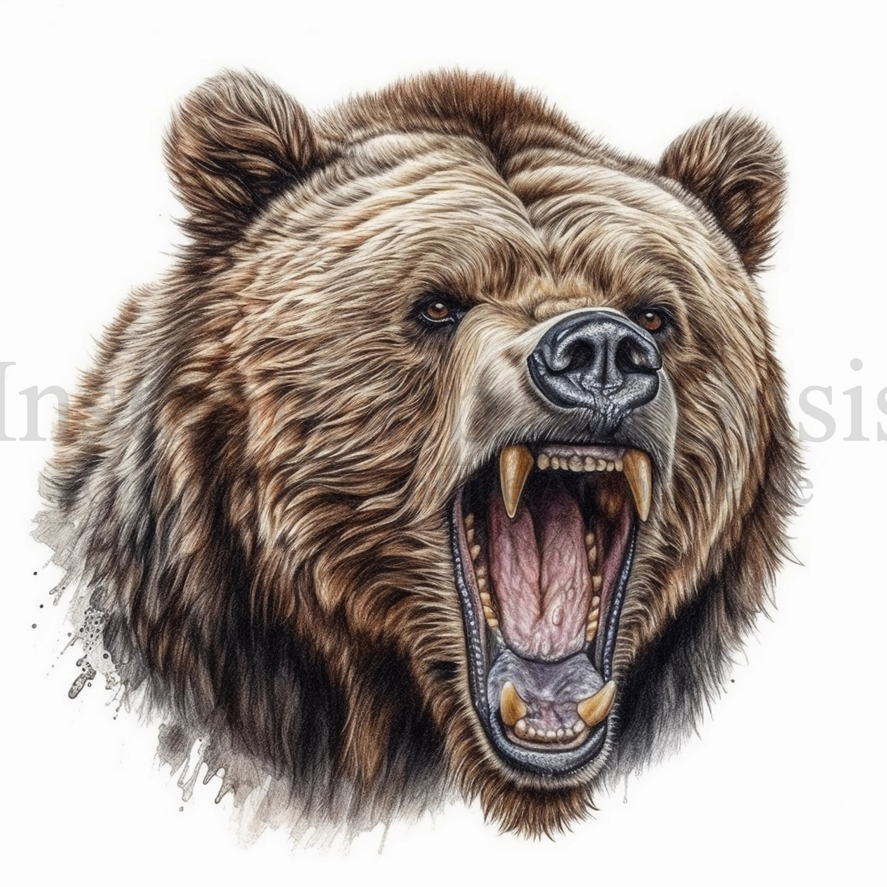 Roaring Bear Clipart, 10 High Quality Jpgs, Instant Digital Download Card  Making, Bear Clipart, Digital Paper Craft 566 - Etsy