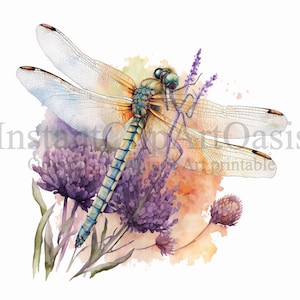 Dragonfly Clipart, 10 High Quality JPGs, Nursery Art, Instant Digital Download | Card Making, Insects Clipart, Digital Paper Craft | #364