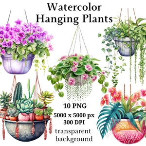ClipArt de plantas penduradas, 10 PNGs de alta qualidade, arte de berçário | Criação de cartões, clipart botânico, artesanato em papel digital, pintura em aquarela #977