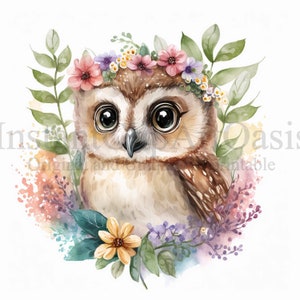Blumen Eulen Clipart, 10 hochwertige JPGs, Kinderzimmer Kunst, digitaler Planer, Aquarell, Kartenherstellung, Journaling, digitaler Download | #512