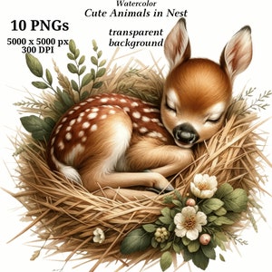 Schattige dieren in Nest Clipart, 10 hoogwaardige PNG's, digitale planners, ongewenste tijdschriften, digitale download, geheugenboeken, scrapbooking | #1422