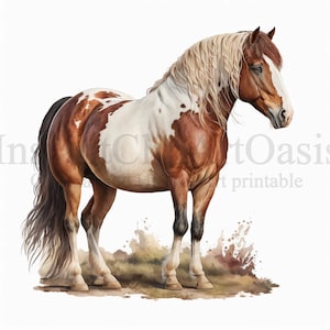Può includere: Illustrazione in stile acquerello di un cavallo con manto marrone e bianco, criniera bionda fluente e coda scura. Il cavallo è in piedi su un ciuffo d'erba su sfondo bianco. L'immagine presenta il testo "Instant Art Oasis" in alto a sinistra e in basso a destra.