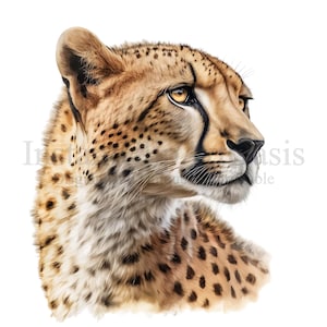 Cheetah Clipart, 10 High Quality PNGs, Nursery Art, Instant Digital Download | Card Making, Cute Animal Clipart, Digital Paper Craft | #33