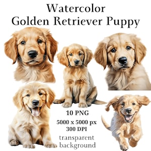 Golden Retriever Puppies Clipart, 10 PNG de haute qualité, Planificateur numérique, Aquarelle Golden Retriever, Fabrication de cartes, Téléchargement numérique #1110