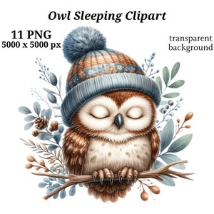 Eule schlafen Clipart, 11 hochwertige PNGs, Kinderzimmer Kunst, digitaler Download, Kartenherstellung, niedliche Tier Clipart, Eule Clipart | #1468
