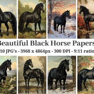 Bellissime carte Black Horse, 10 JPG di alta qualità, Illustrazione vintage, Scrapbooking, Junk Journaling, Creazione di carte, Carta digitale / #952