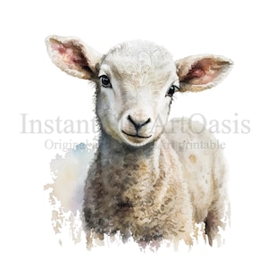 Baby lam clipart, 10 hoge kwaliteit PNG's, kinderkamer kunst, instant digitale download | Kaarten maken, schattige dieren clipart, digitale papier ambachtelijke | #36