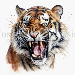 Roaring Tiger clipart, 10 JPG o wysokiej jakości, pobierz cyfrowe wydanie/tworzenie z karty, Tiger clipart, cyfrowe rzemiosło papierowe/#582