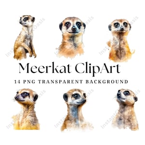 Meerkat Clipart, 14 High Quality PNGs Transparent Background | Card Making, Meerkat Print, Digital Paper Craft, Watercolour Painting | #1048