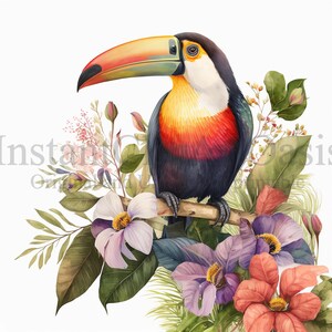 May include: A toucan with a bright orange, yellow, and red beak perched on a branch with lush green leaves and pink, purple, and red flowers.