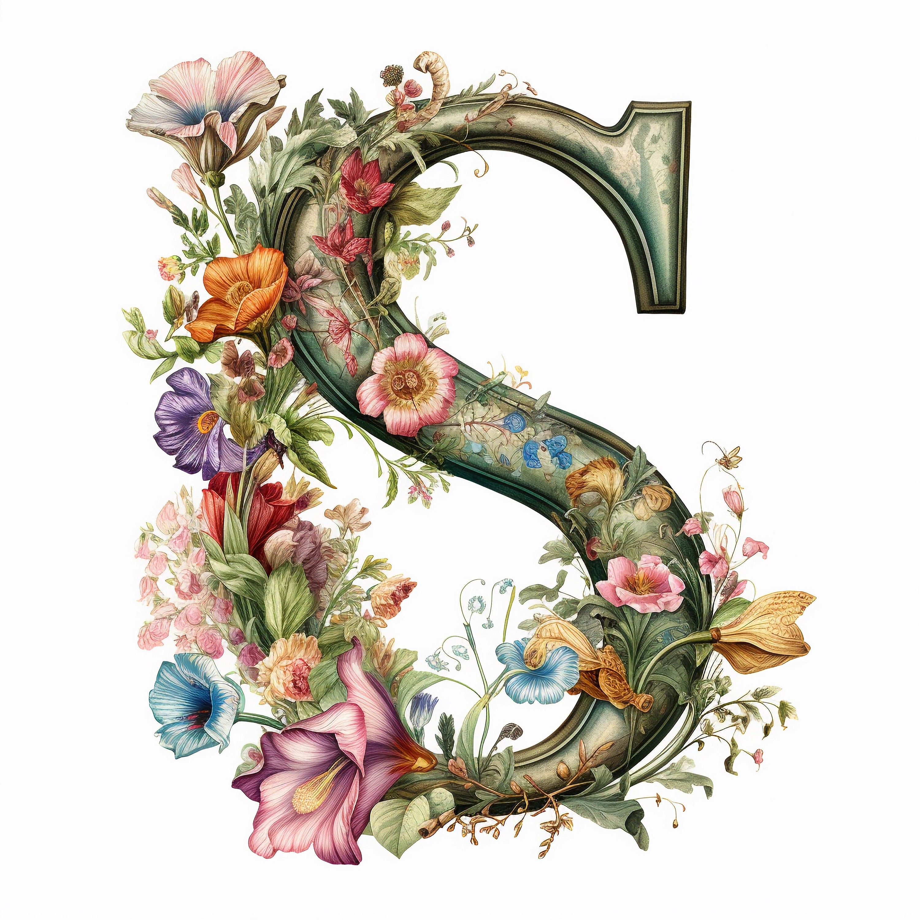 Alphabet S Clipart
