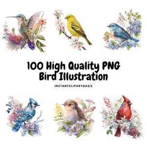 BUNDLE Bird Illustrations Clipart - 100 PNG de alta calidad, arte infantil, descarga digital / creación de tarjetas, imágenes prediseñadas de animales, artesanía en papel / #1