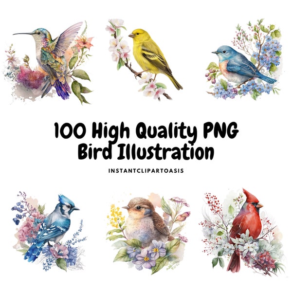 BUNDLE Bird Illustrations Clipart - 100 High Quality PNGs, Nursery Art, Digital Download | Card Making, Animal Clipart, Paper Craft | #1