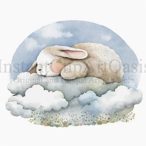 Schlafende Hasen Clipart, 9 hochwertige JPGs, Kinderzimmer Kunst, digitaler Planer, Aquarell, Kartenherstellung, Journaling, digitaler Download | #134