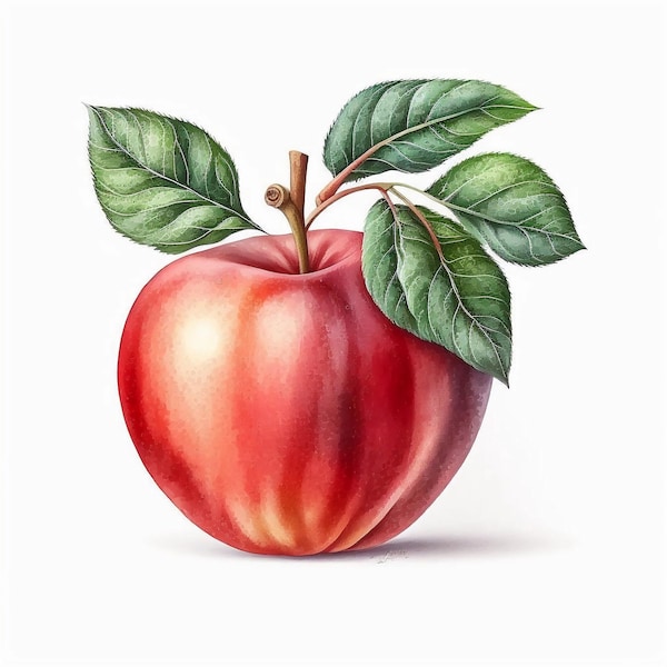 Apple Clipart, 10 High Quality JPGs, Nursery Art | Card Making, Fruit Clip Art, Digital Paper Craft, Watercolour Painting | #44