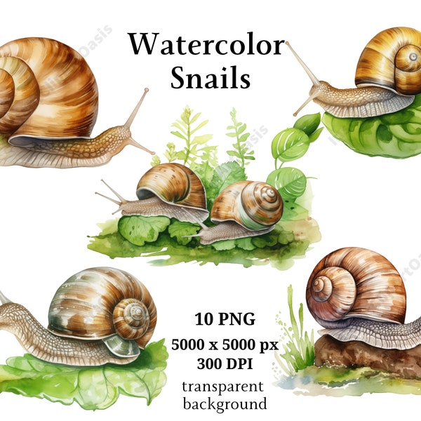 Watercolor Snails Clipart, 10 High Quality PNGs, Digital Download, Journaling, Card Making, Digital Paper Craft #906