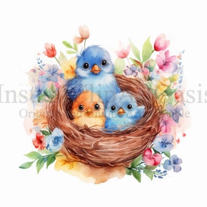 Clipart de nido de pájaro, 9 JPG de alta calidad, arte de vivero, descarga digital instantánea / fabricación de tarjetas, imágenes prediseñadas de pájaros, arte de papel digital / #552