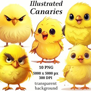 Imágenes prediseñadas de Canarias ilustradas - 10 PNG de alta calidad, gráfico imprimible, descarga digital, creación de tarjetas, dibujos animados, artesanía de papel digital #1258