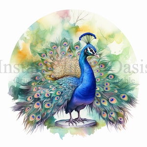Peacock Clipart, 10 JPG de haute qualité, Nursery Art, Téléchargement numérique, Fabrication de cartes, Clipart animal mignon, Digital Paper Craft | #498