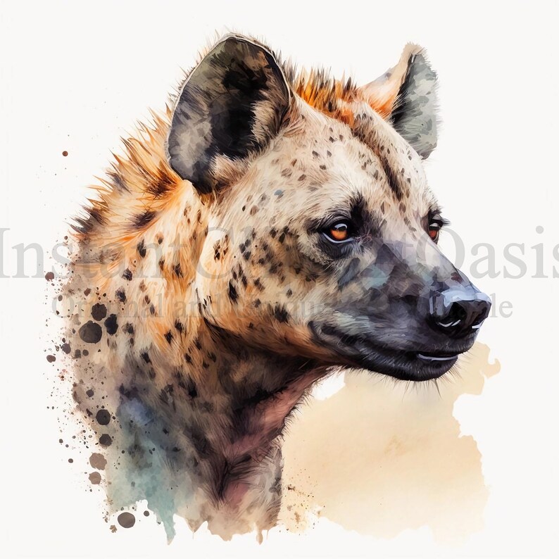 Hyena Clipart, 10 High Quality JPGs, Nursery Art, Instant Digital Download | Card Making, Cute Animal Clipart, Digital Paper Craft | #89 image 1