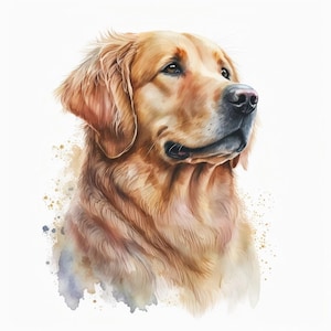 Golden Retriever Clipart, 10 JPG di alta qualità, Nursery Art, Download digitale / Creazione di carte, Cute Dog Clipart, Digital Paper Craft / #115