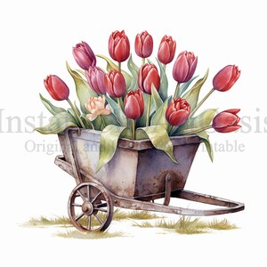 Clipart di carriole di tulipani, 10 JPG di alta qualità, arte floreale, download digitale istantaneo / creazione di carte, artigianato con carta digitale / #477