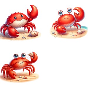 May include: Three cartoon crabs with red shells and blue eyes on a white background. The crabs are on a sandy beach with seashells. One crab is holding a seashell in its claw. Another crab is smiling with its claws raised. The third crab is smiling with its claws down.