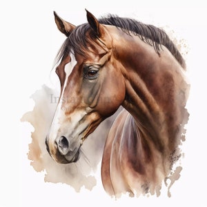 Clipart de caballo, 10 JPG de alta calidad, arte de vivero, descarga digital instantánea / imagen de caballo, imágenes prediseñadas de animales lindos, arte de papel digital / #95