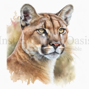 Cougar Clipart, 10 JPGs de alta qualidade, arte infantil, download digital instantâneo | Criação de cartões, clipart de animais, artesanato em papel digital | #358