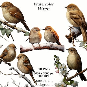 Clipart Wren | Zestaw-2 | 10 wysokiej jakości obrazów PNG, pobieranie cyfrowe, tworzenie kartek, urocze ptaszki, cyfrowe rzemiosło papierowe, scrapbooking #1361