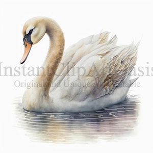 Swan clipart, 9 hoge kwaliteit JPG's, kinderkamer kunst | Kaarten maken, Illustraties, Zwaanprint, Digital Paper Craft, Aquarel | #98
