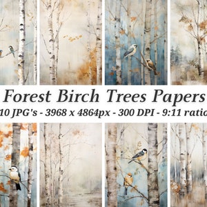 Carte di alberi di betulla della foresta, 10 JPG di alta qualità, Illustrazione vintage, Scrapbooking, Junk Journaling, Creazione di carte, Mestiere con la carta digitale #1214