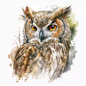 Hibou Clipart, 10 JPG de haute qualité, Art de la pépinière | Fabrication de cartes, Clip Art, Impression de hibou, Artisanat en papier numérique, Peinture à l'aquarelle | #161