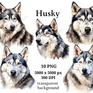 Husky Clipart, 10 High Quality PNGs, Digital Planner, Watercolor Husky, Card Making, Journaling, Digital Download #955