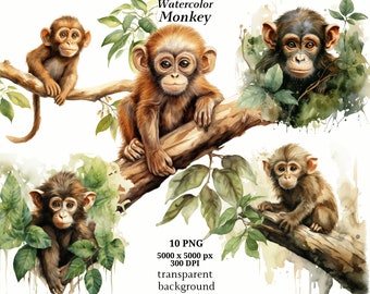 Monkey Clipart, 10 High Quality PNGs, Nursery Art, Card Making, Clip Art, Monkey Print, Digital Paper Craft, Watercolour Painting #1356