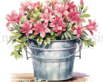 Azalea Bucket Clipart, 13 High Quality JPGs, Card Making, Azalea Clip Art, Digital Paper Craft, Watercolour Azalea | #752