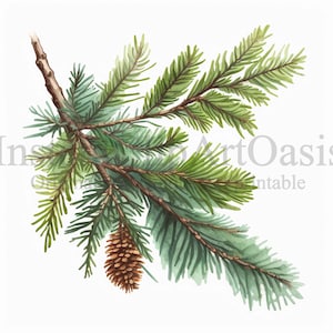 Clipart de ramos de abeto, 10 JPGs de alta qualidade, arte botânica, download digital, confecção de cartões, registro no diário, artesanato em papel digital | #304