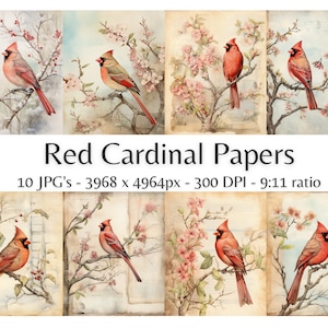 Red Cardinal Papers, 10 High Quality JPGs, Vintage Illustration, Scrapbooking, Junk Journaling, Card Making, Digital Paper Craft | #884