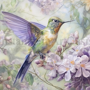 Vintage Kolibri Clipart, 10 hochwertige JPGs, Vintage Illustration, Kartenherstellung, Vogel Clipart, digitales Papier Handwerk | #683