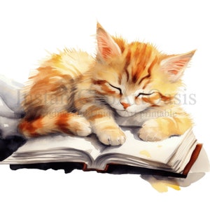 Cat Sleeping on Books Clipart, 10 High Quality Pngs, Digital Download ...