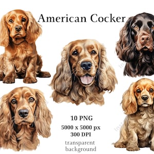 American Cocker Clipart, 10 High Quality PNGs, Nursery, Digital Planner, Watercolor Dog, Card Making, Journaling, Digital Download #928